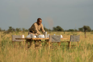 Serengeti Nyumbani Camps